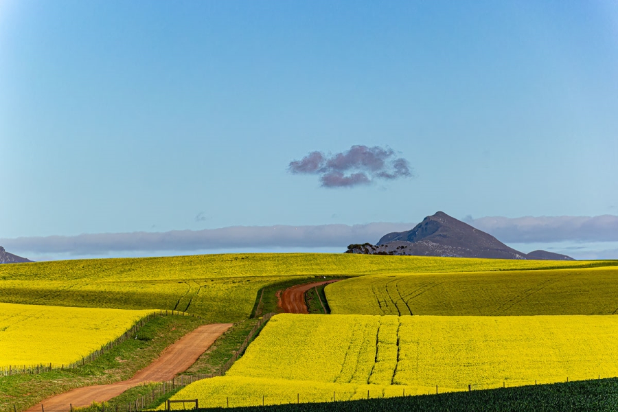 Commercial Property for Sale in Bot River Western Cape